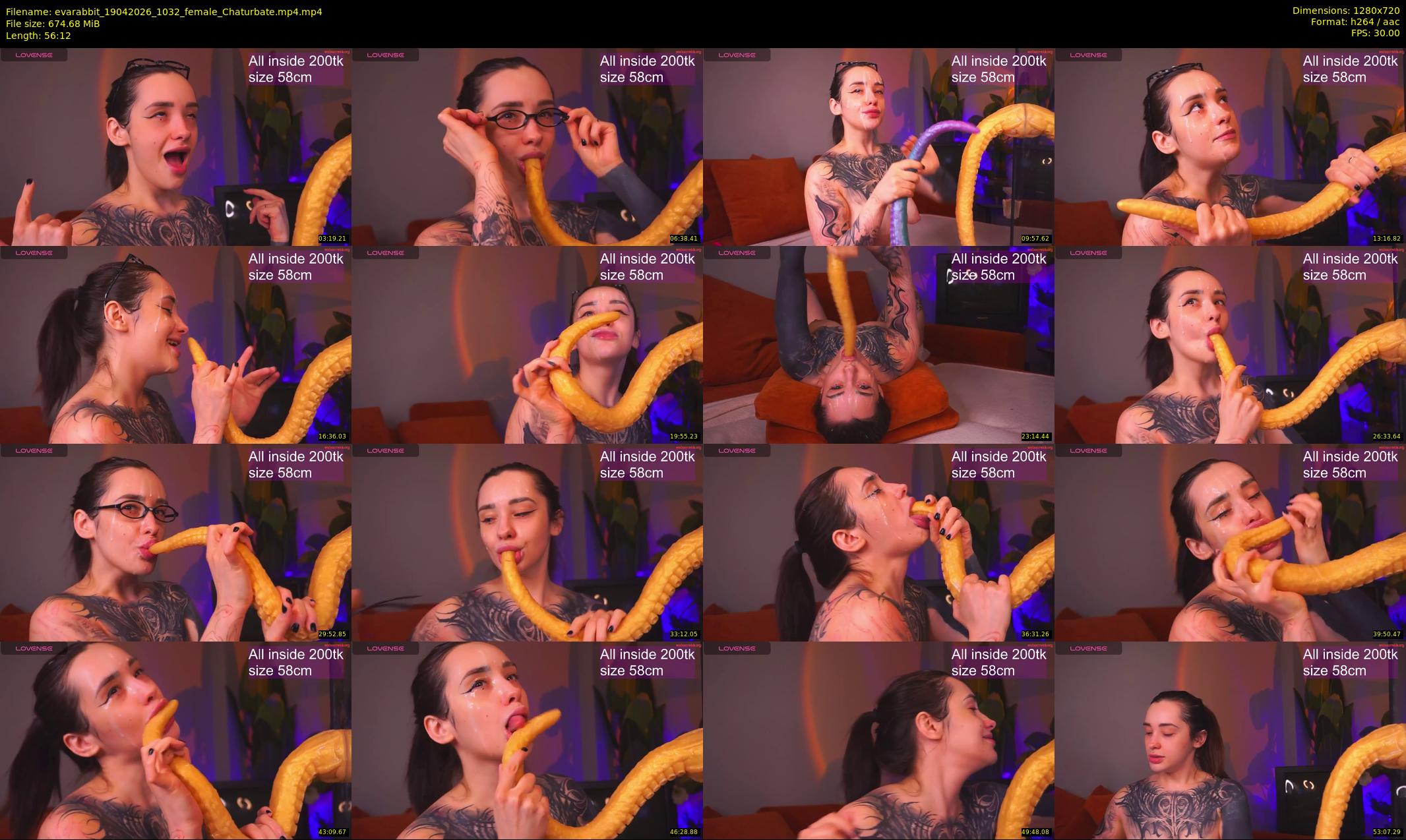 evarabbit — 57 minute Chaturbate female cam show recording, 720p, Apr 19, 2026