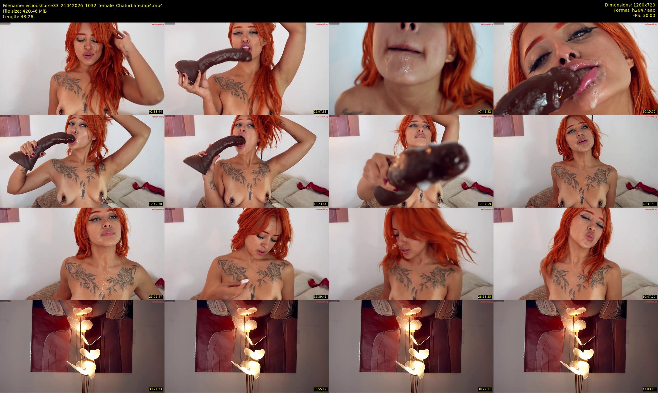 vicioushorse33 — 44 minute Chaturbate couple cam show recording, 720p, Apr 21, 2026