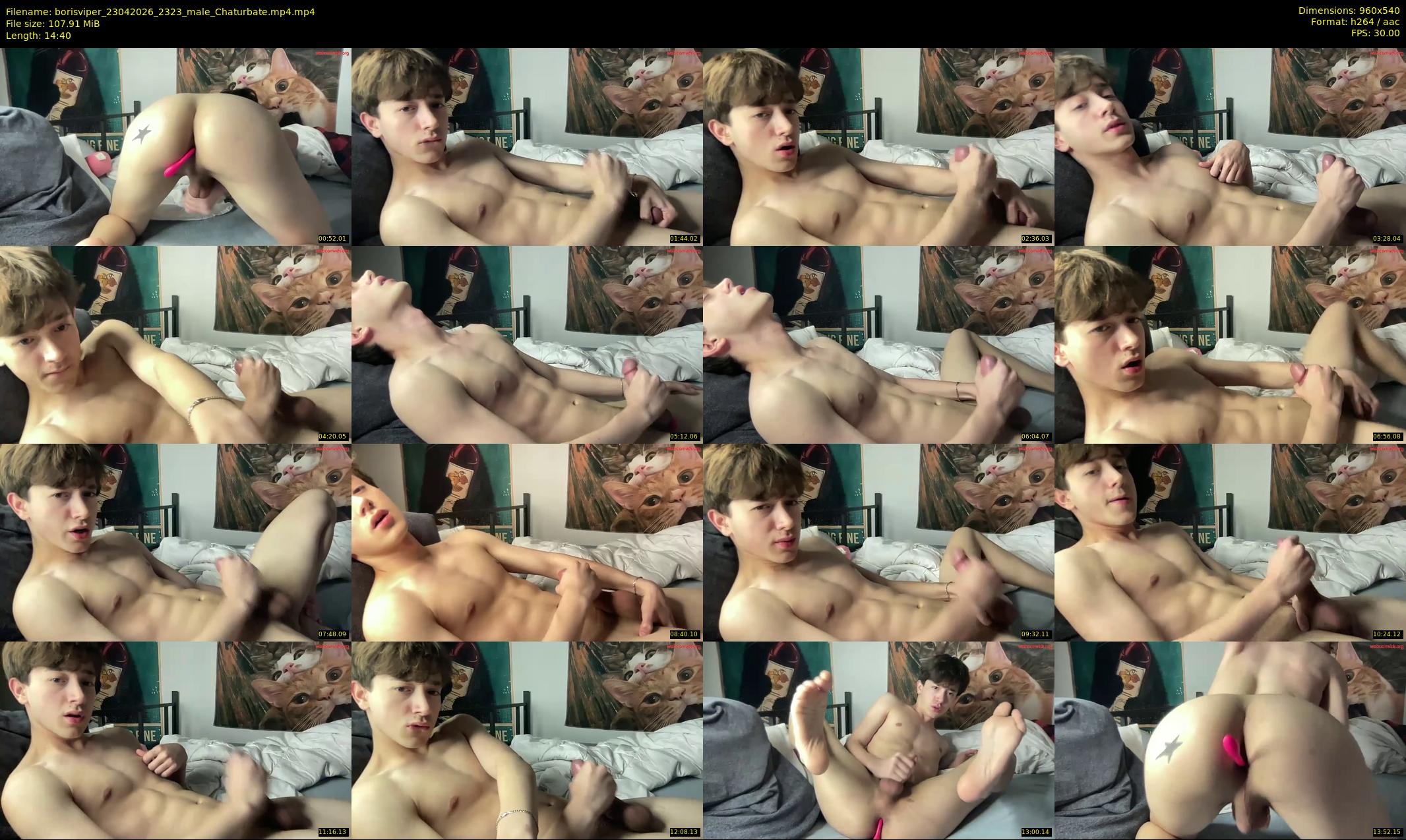 borisviper — 15 minute Chaturbate male cam show recording, 480p, Apr 23, 2026