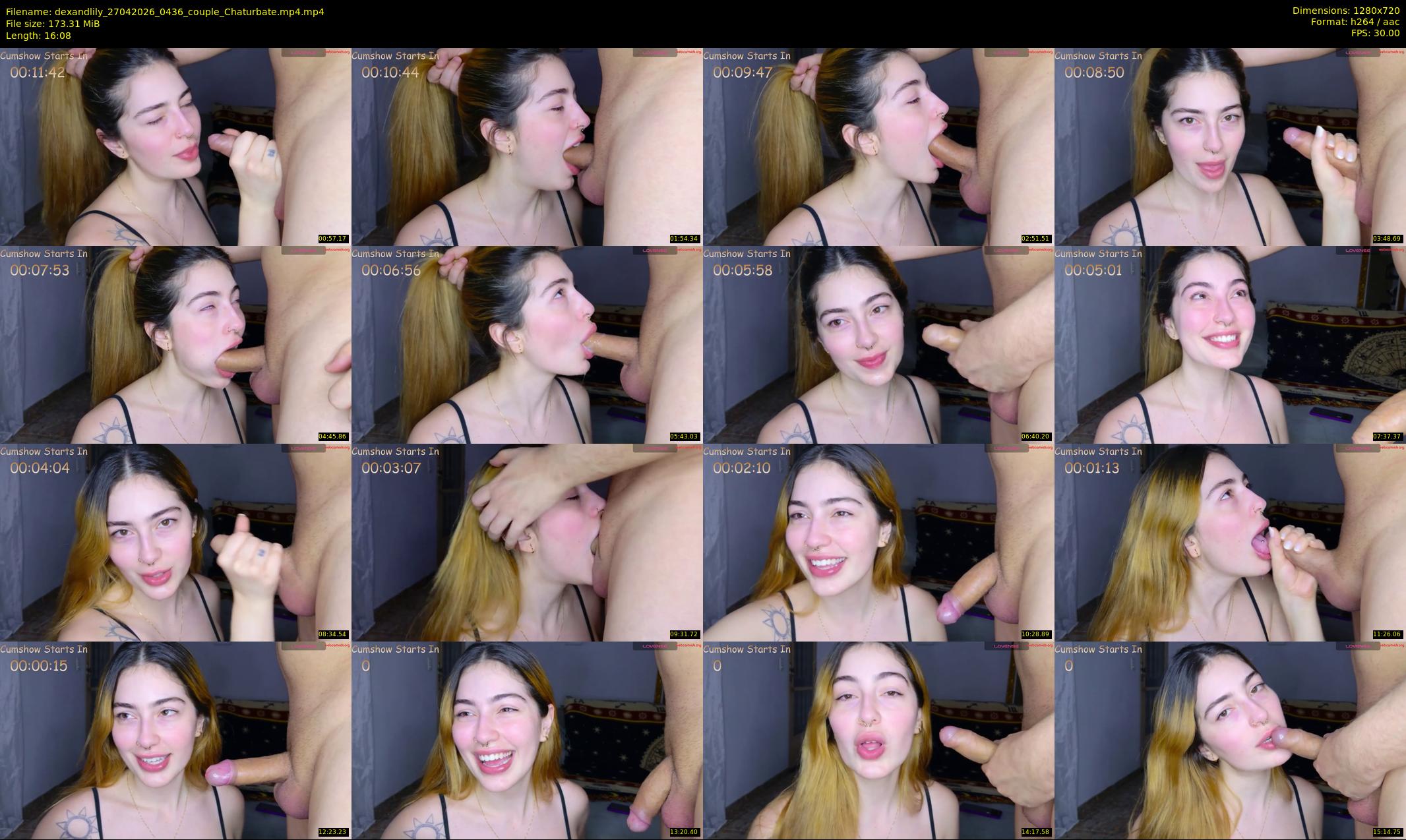 dexandlily — 17 minute Chaturbate couple cam show recording, 720p, Apr 27, 2026