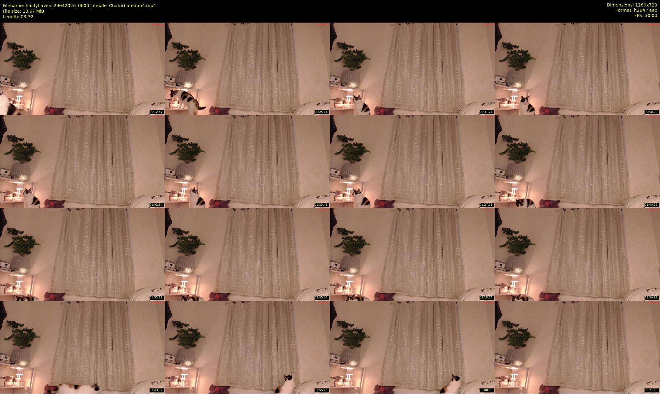 haidyhaven — 4 minute Chaturbate female cam show recording, 720p, Apr 29, 2026
