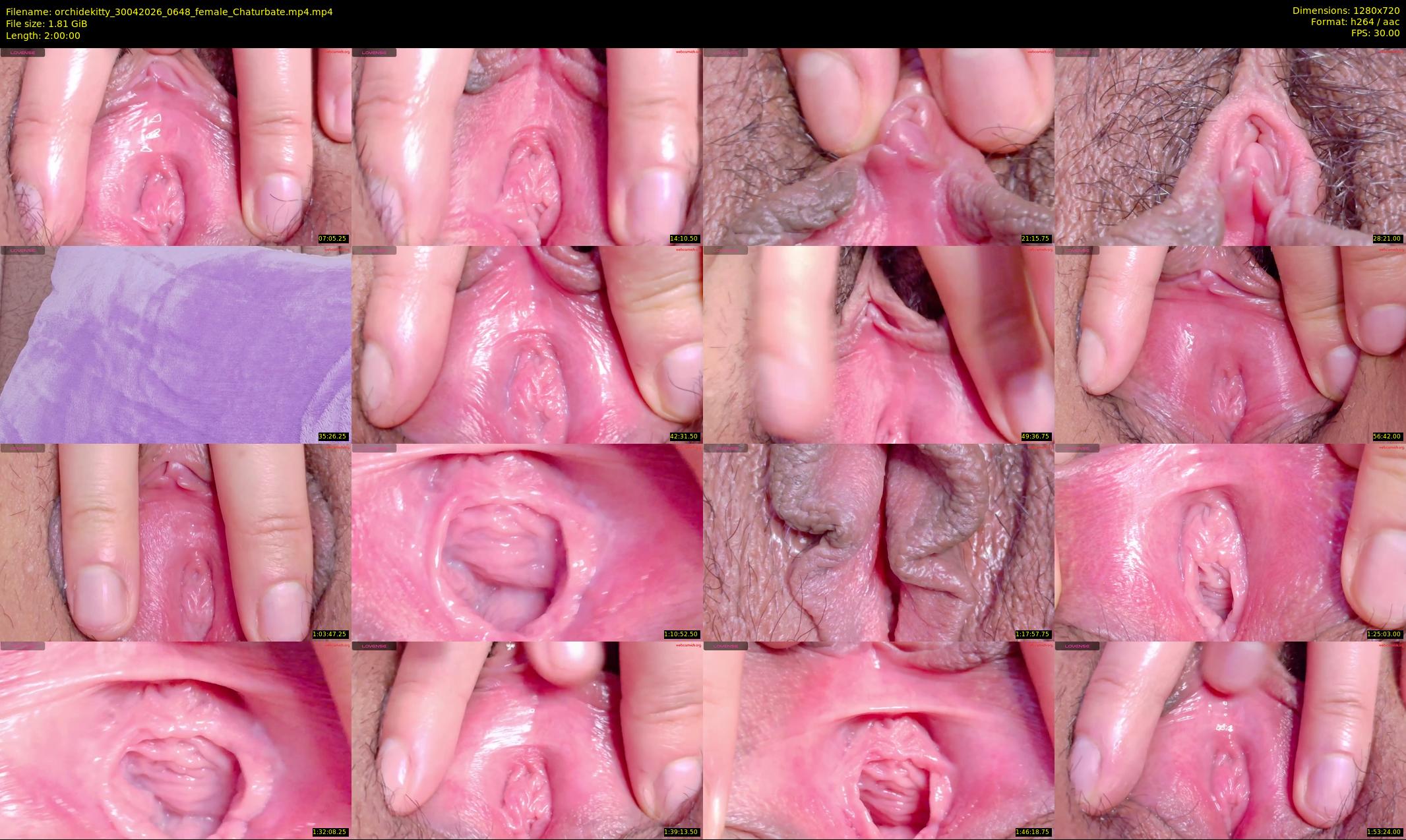 orchidekitty — 120 minute Chaturbate female cam show recording, 720p, Apr 30, 2026