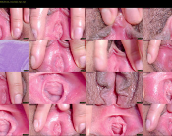 orchidekitty — 120 minute Chaturbate female cam show recording, 720p, Apr 30, 2026