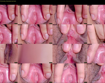orchidekitty — 45 minute Chaturbate female cam show recording, 720p, Apr 30, 2026