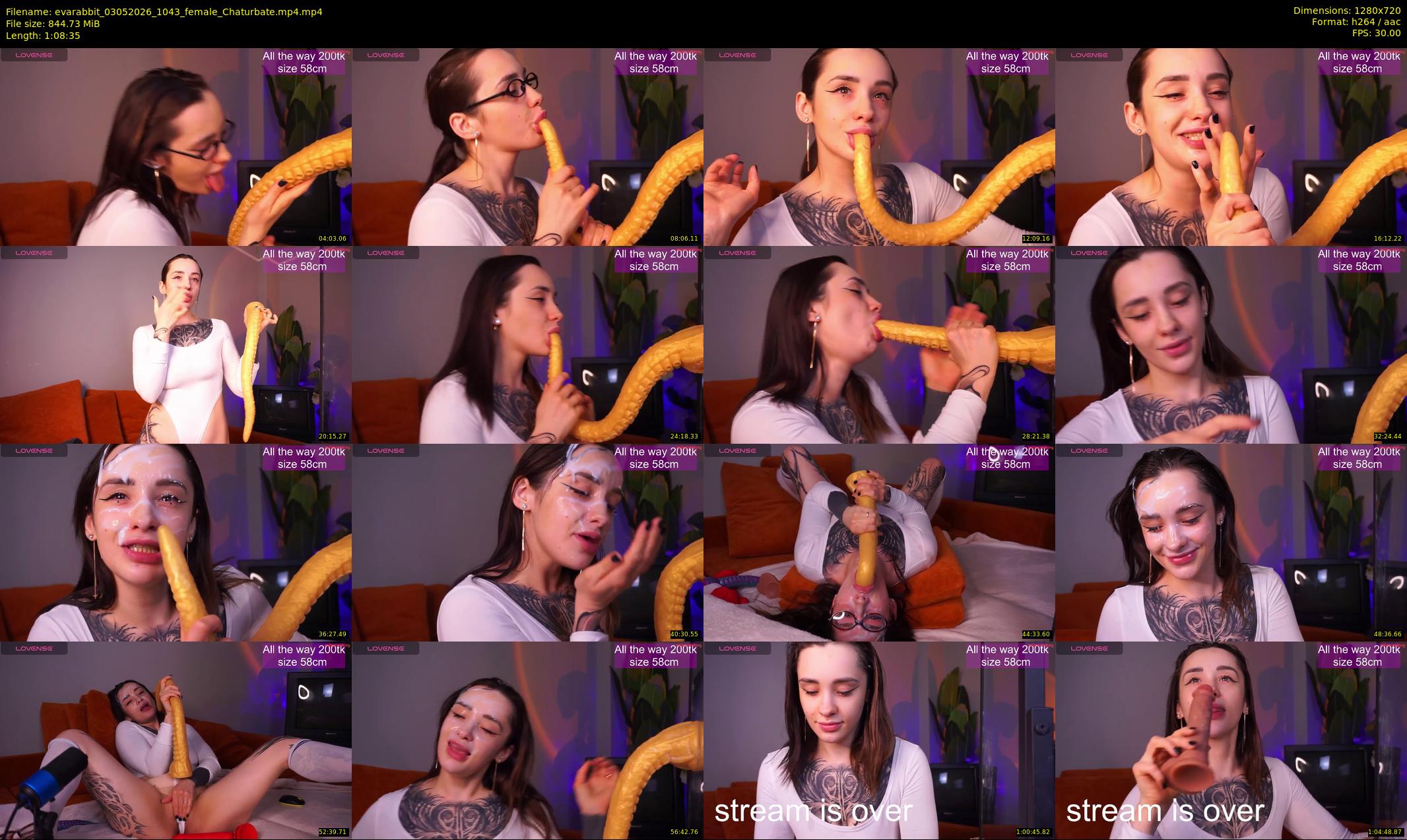 evarabbit — 69 minute Chaturbate female cam show recording, 720p, May 3, 2026