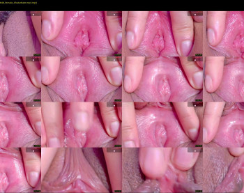 orchidekitty — 34 minute Chaturbate female cam show recording, 720p, May 3, 2026