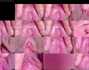 orchidekitty — 119 minute Chaturbate female cam show recording, 720p, May 4, 2026