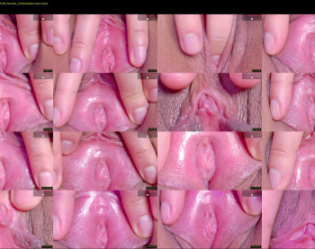 orchidekitty — 120 minute Chaturbate female cam show recording, 720p, May 4, 2026