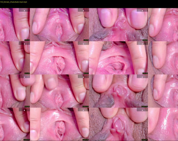 orchidekitty — 103 minute Chaturbate female cam show recording, 720p, May 4, 2026