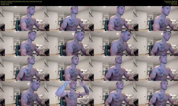 johnprice325 — 17 minute Chaturbate male cam show recording, 480p, May 5, 2026