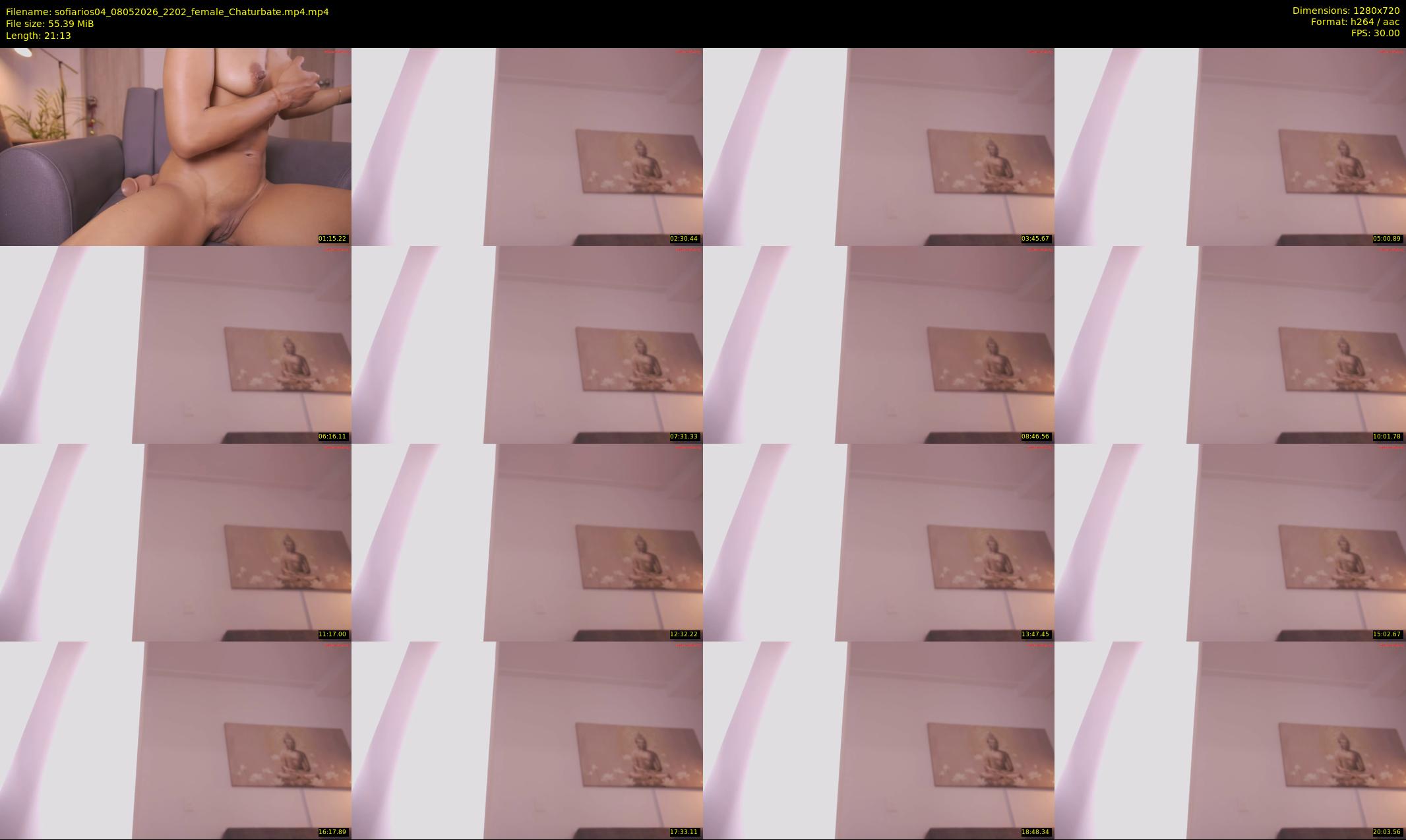 sofiarios04 — 22 minute Chaturbate female cam show recording, 720p, May 8, 2026