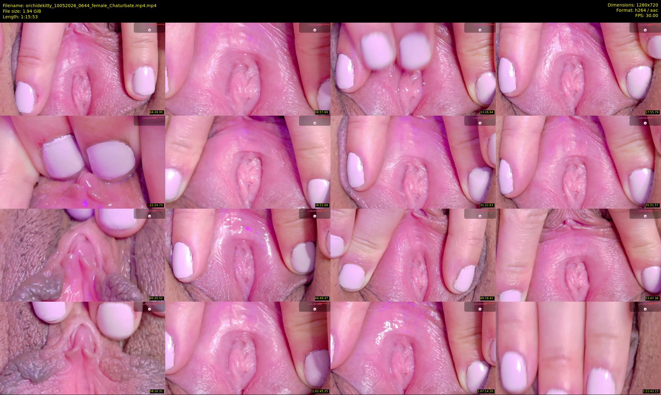 orchidekitty — 76 minute Chaturbate female cam show recording, 720p, May 10, 2026