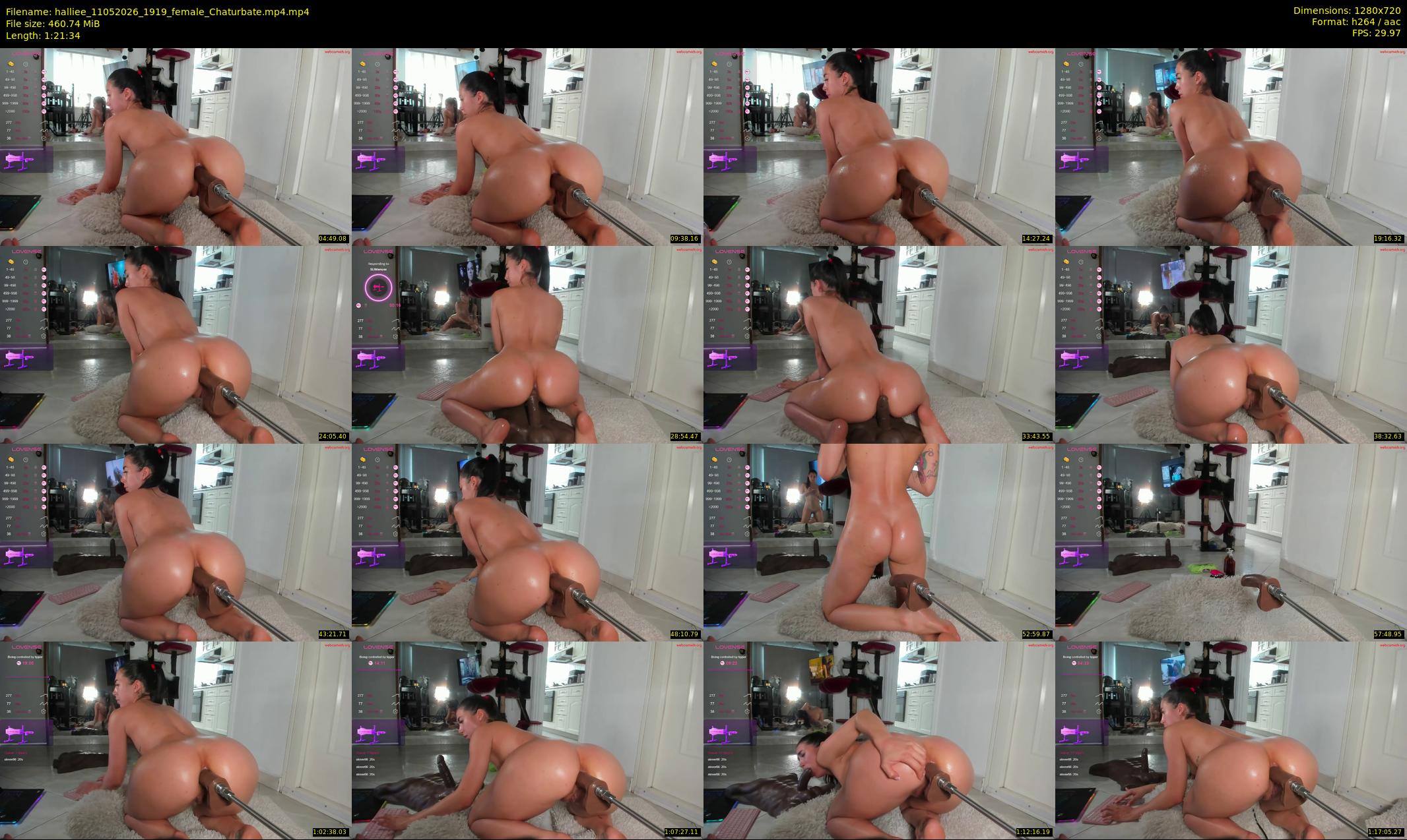 halliee — 82 minute Chaturbate couple cam show recording, 720p, May 11, 2026