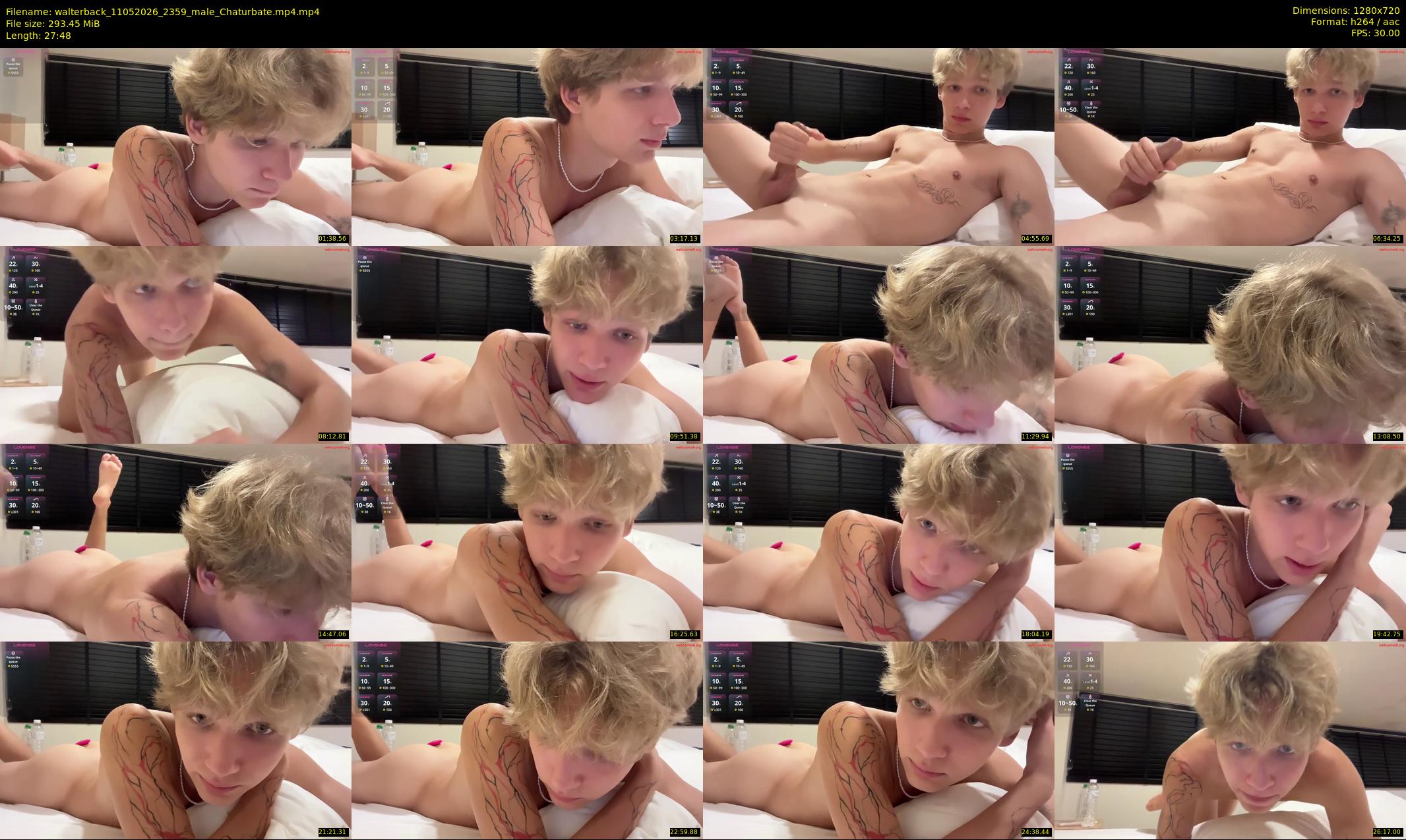 walterback — 28 minute Chaturbate male cam show recording, 720p, May 11, 2026