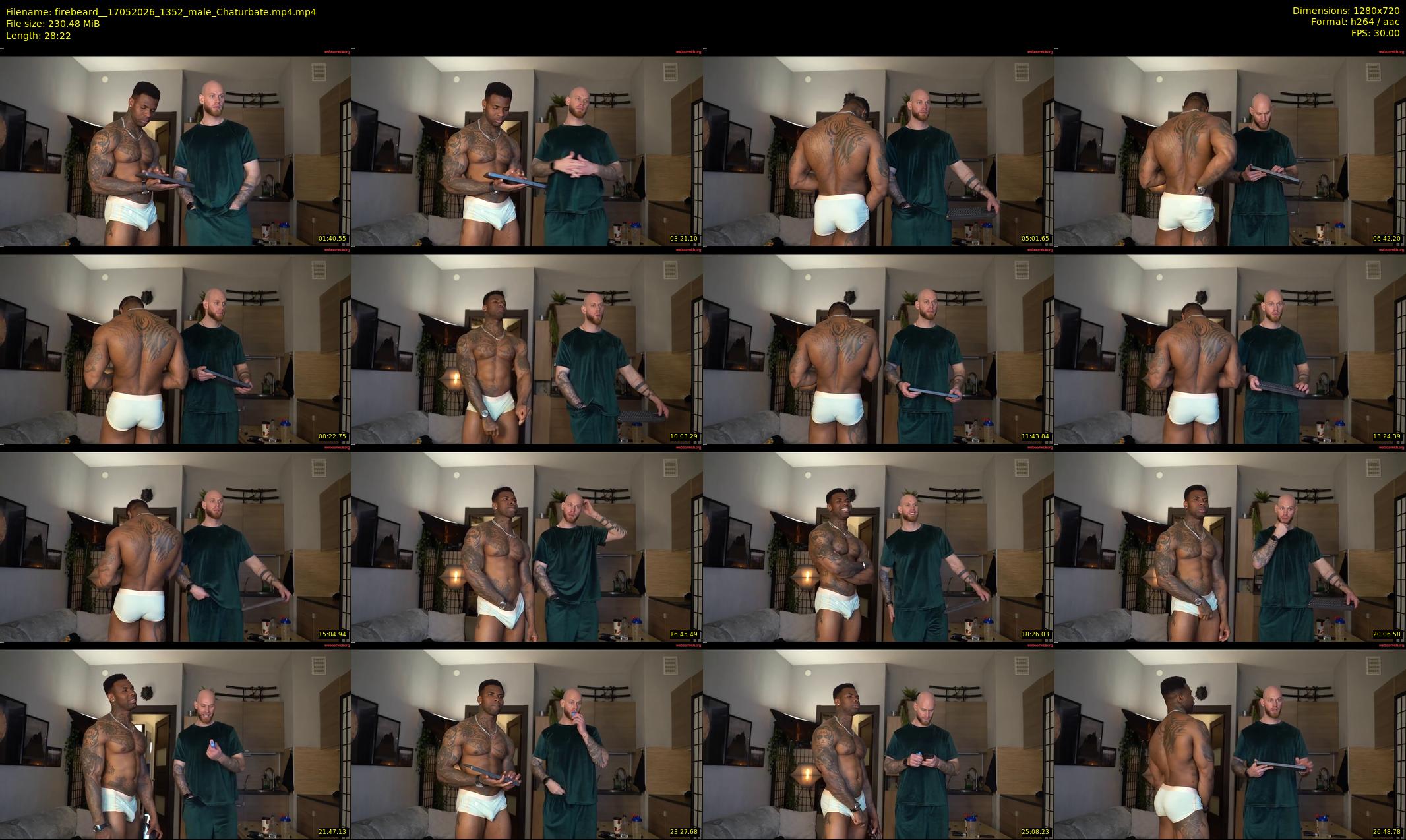firebeard_ — 29 minute Chaturbate male cam show recording, 720p, May 17, 2026
