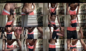therealferrarii — 14 minute Chaturbate male cam show recording, 480p, May 19, 2026