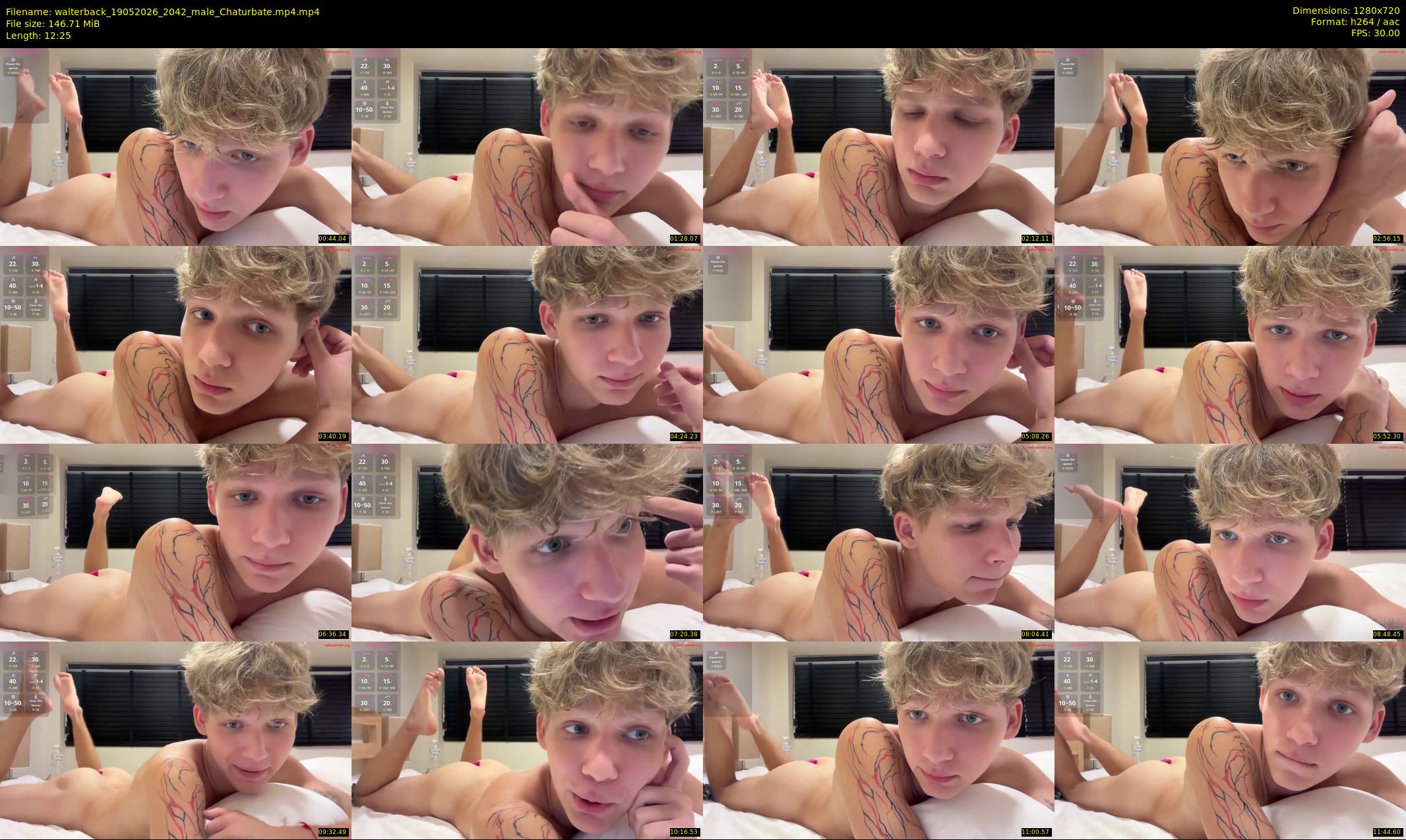 walterback — 13 minute Chaturbate male cam show recording, 720p, May 19, 2026