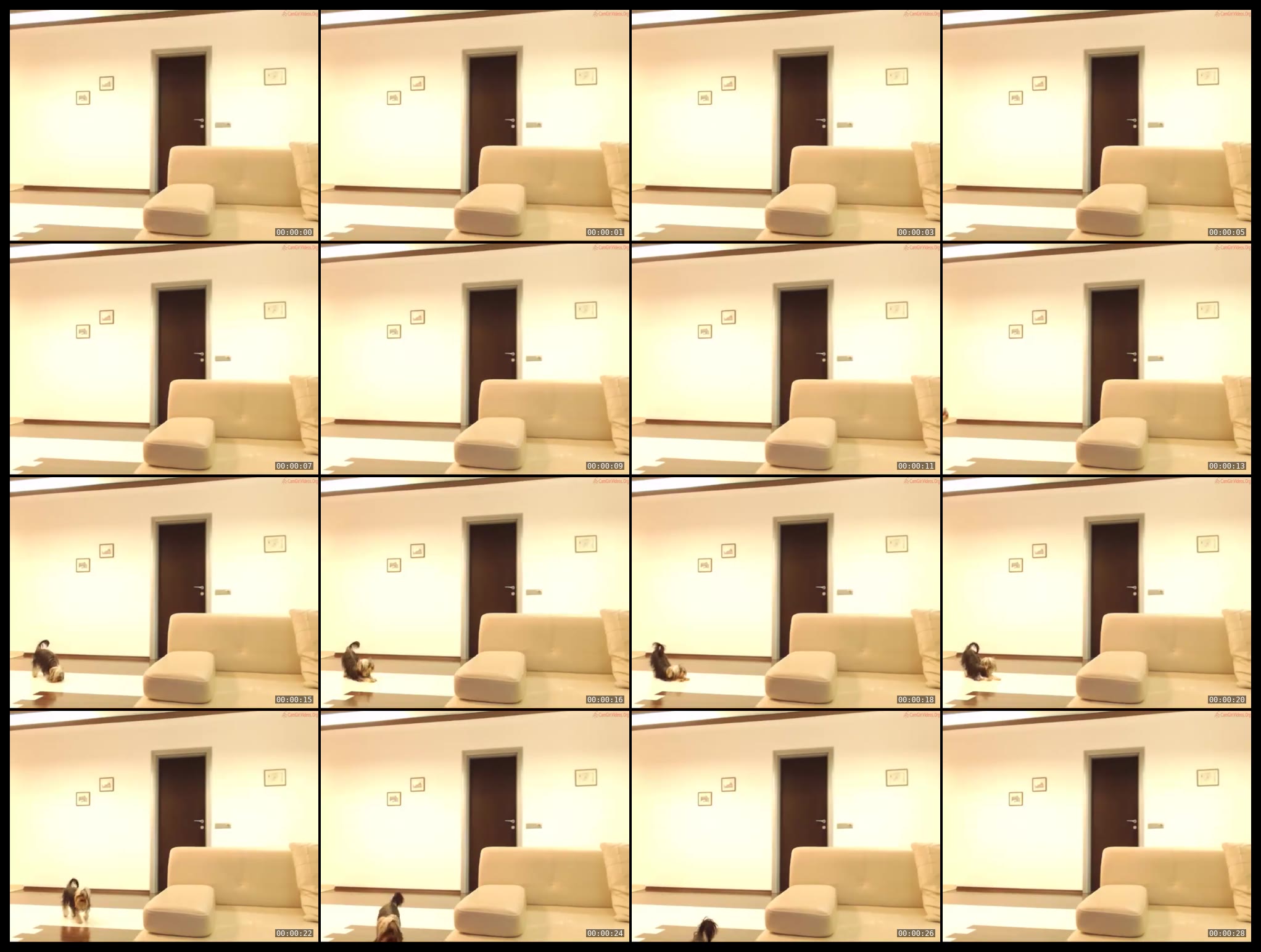 aalliyahh — 104 minute Chaturbate female cam show recording, 480p, Mar 8, 2015