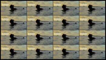 aurora_bunnie — 18 minute Chaturbate female cam show recording, 720p, Jun 21, 2026